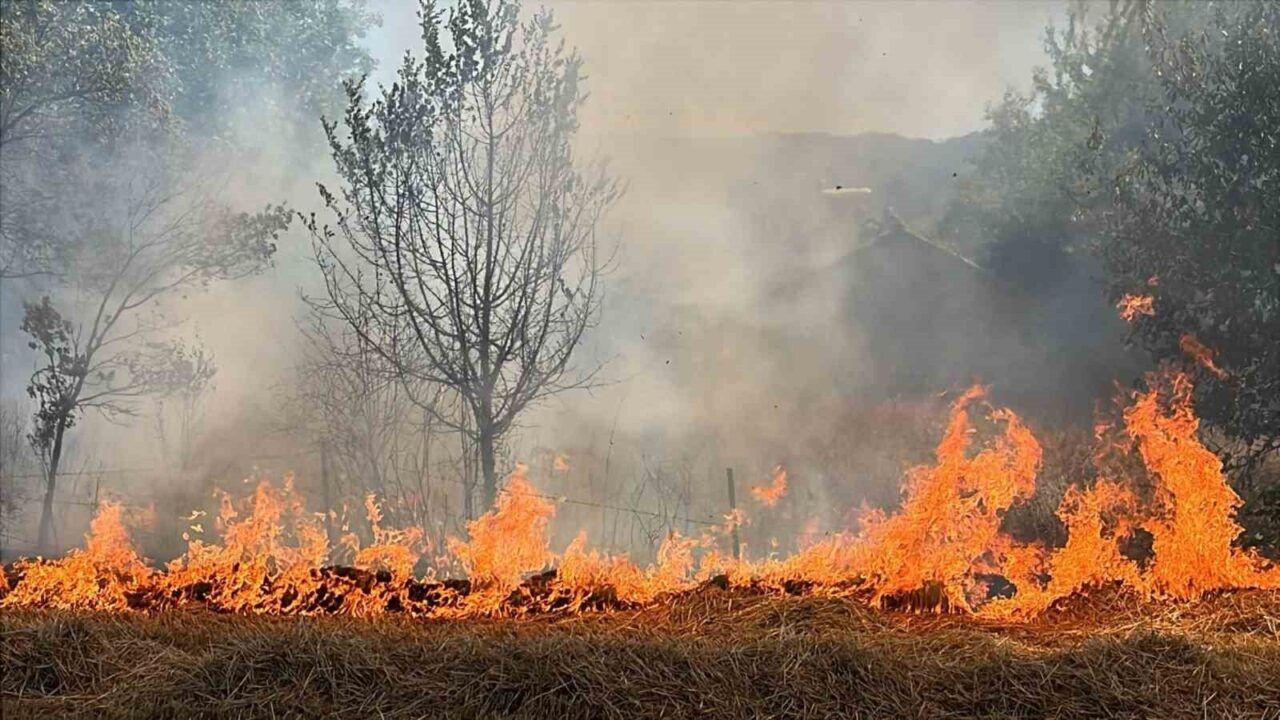 Bolu’da orman yangınlarının önlenmesi amacıyla, zorunlu haller dışında bidon, şişe