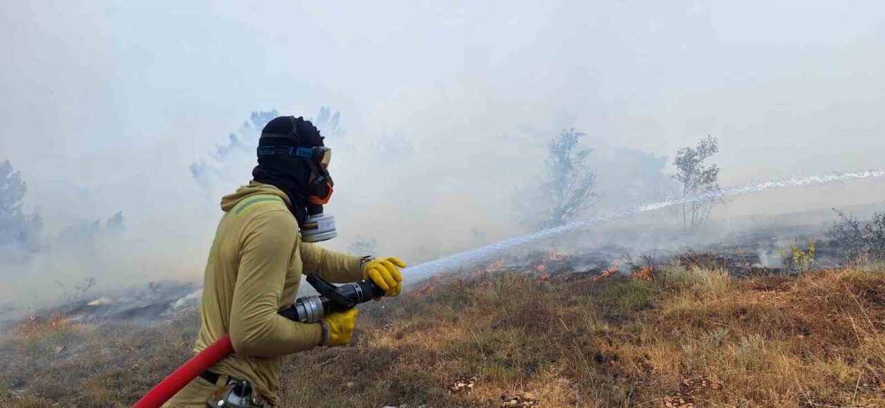 Bolu’nun Göynük ilçesinde bulunan ormanlık alanda çıkan yangın ekiplerin alevlere