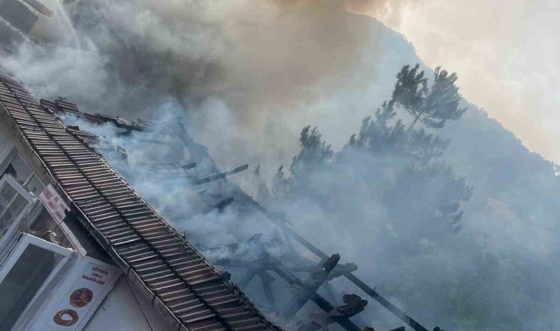Bolu’nun Göynük ilçesinde bir ekmek fırınında çıkan yangında, fırın tamamen