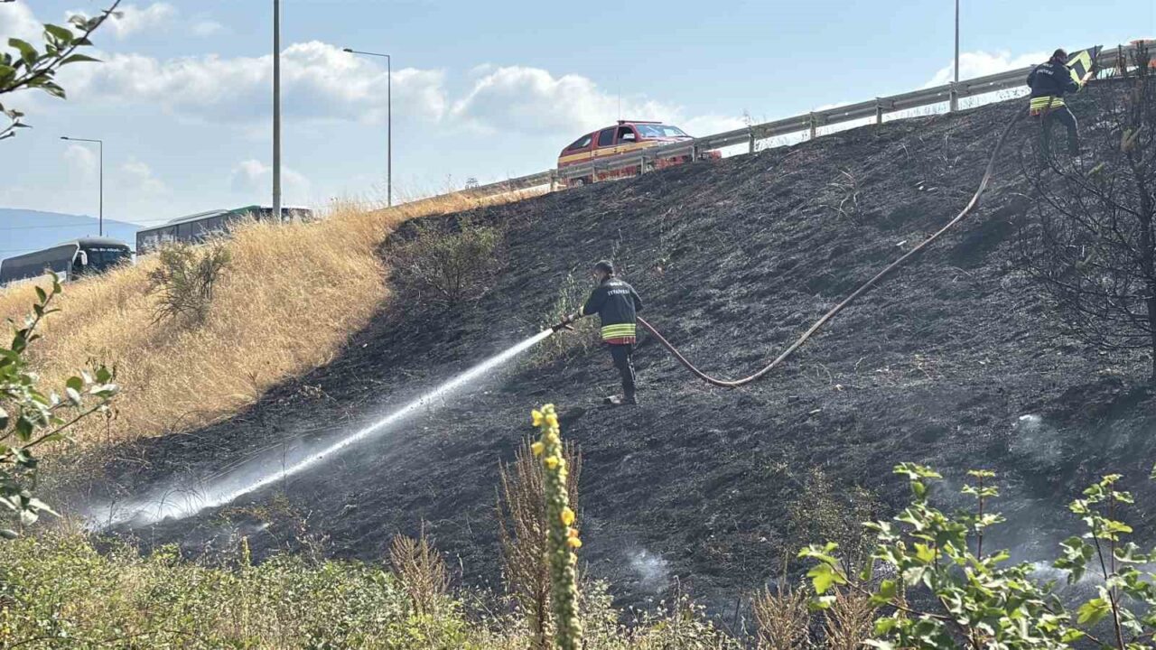 Bolu’da TEM otoyolu Batı gişeleri mevkiinde yol kenarındaki otluk alanda