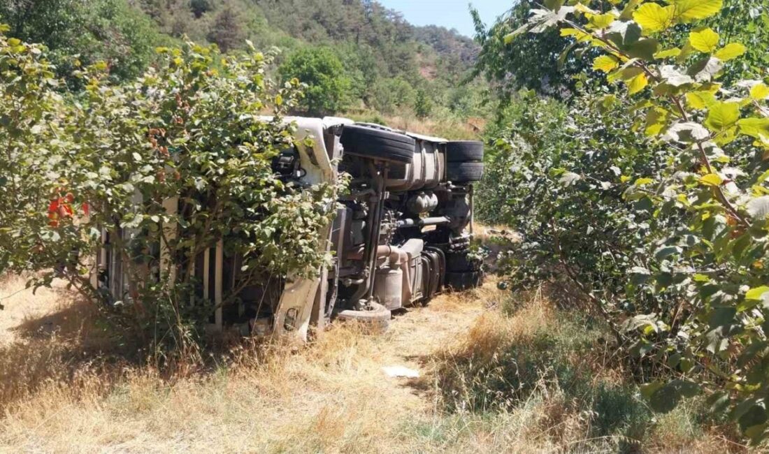 Bolu’nun Mudurnu ilçesinde kontrolden çıkan tır, fındık bahçesine devrildi. Kazayı