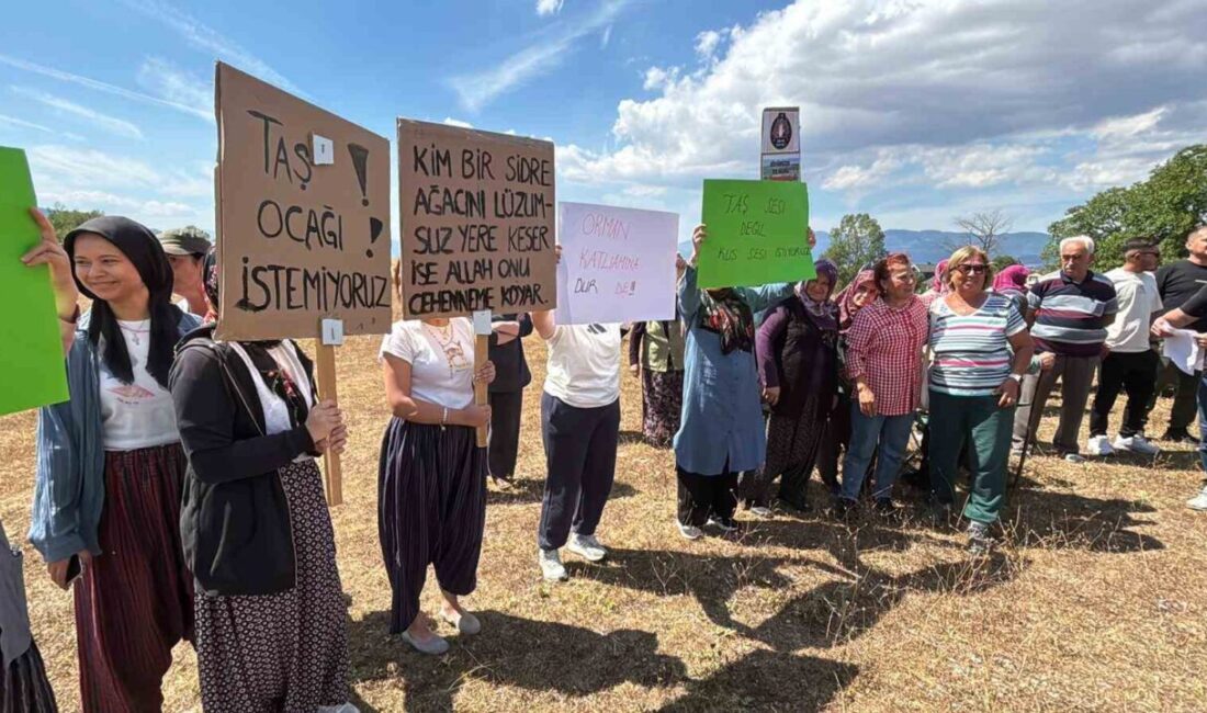 Bolu’nun Kındıra, Bürnük ve Kol köylerinin sınırları içerisinde bulunan Dombay