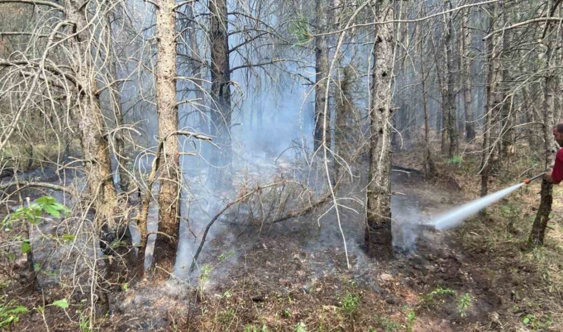 Bolu’nun Bakırlı köyünde ormanlık alanda çıkan yangın, ekiplerin müdahalesiyle kontrol