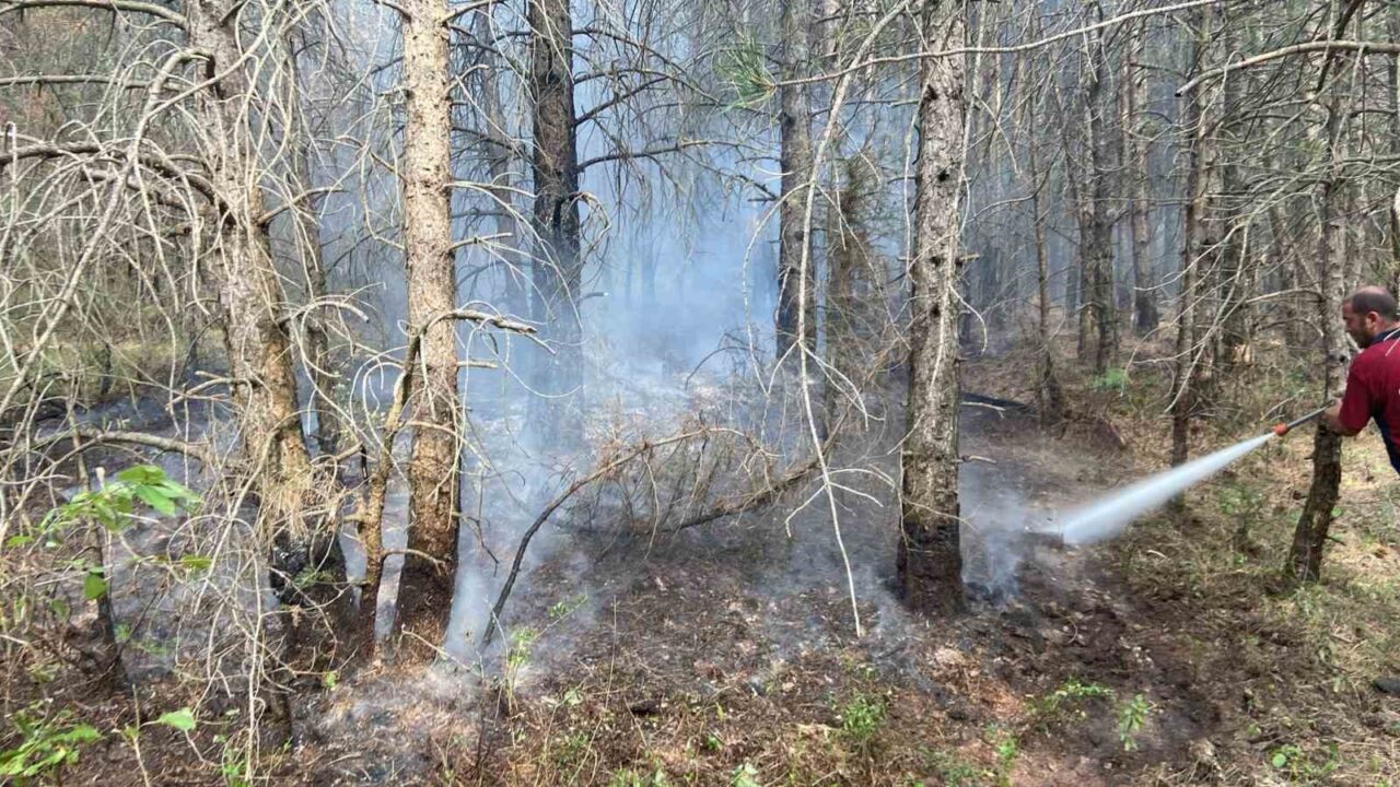 Bolu’nun Bakırlı köyünde ormanlık alanda çıkan yangın, ekiplerin müdahalesiyle kontrol