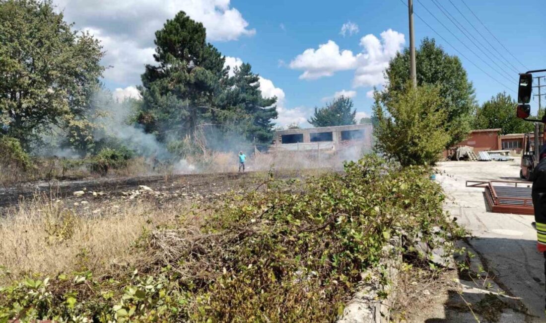 Bolu’da çıkan ot yangını, itfaiye ekiplerinin hızlı müdahalesiyle büyümeden söndürüldü.
