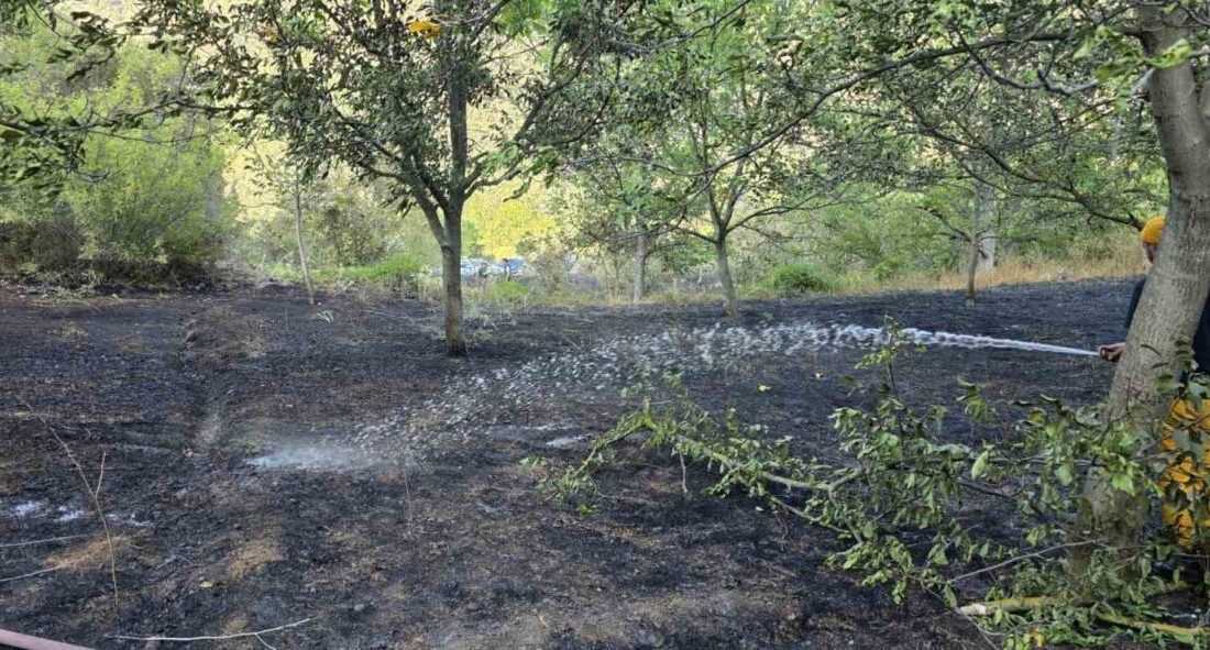 Bolu’nun Mudurnu ilçesinde otluk alanda çıkan yangın, ekiplerin zamanında müdahalesiyle