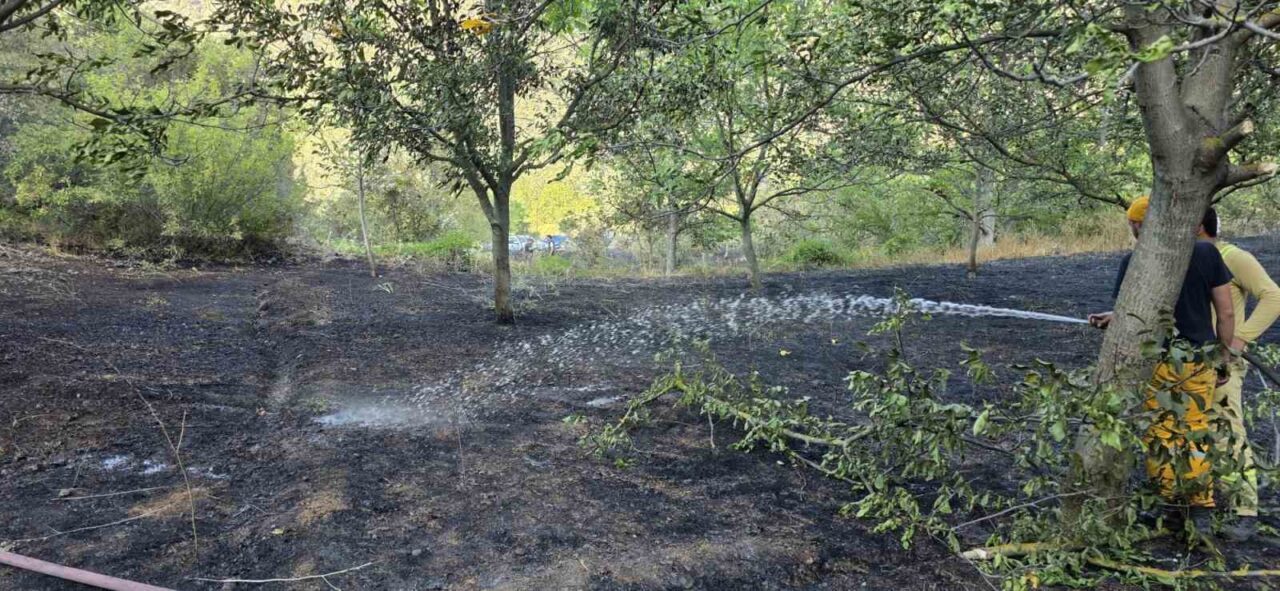Bolu’nun Mudurnu ilçesinde otluk alanda çıkan yangın, ekiplerin zamanında müdahalesiyle