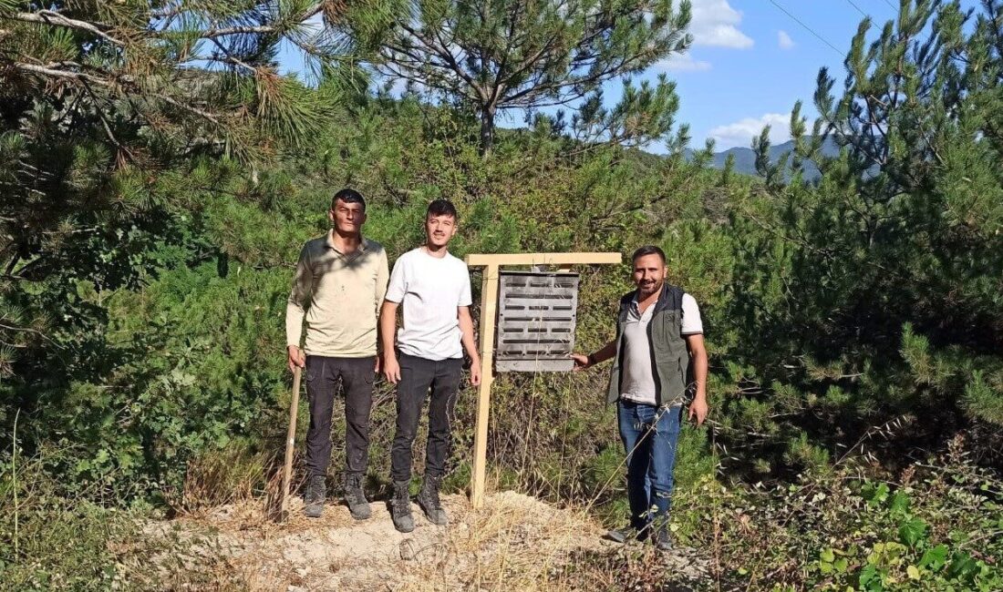 Bolu’nun Göynük ilçesinde geçtiğimiz yıl meydana gelen büyük orman yangınının