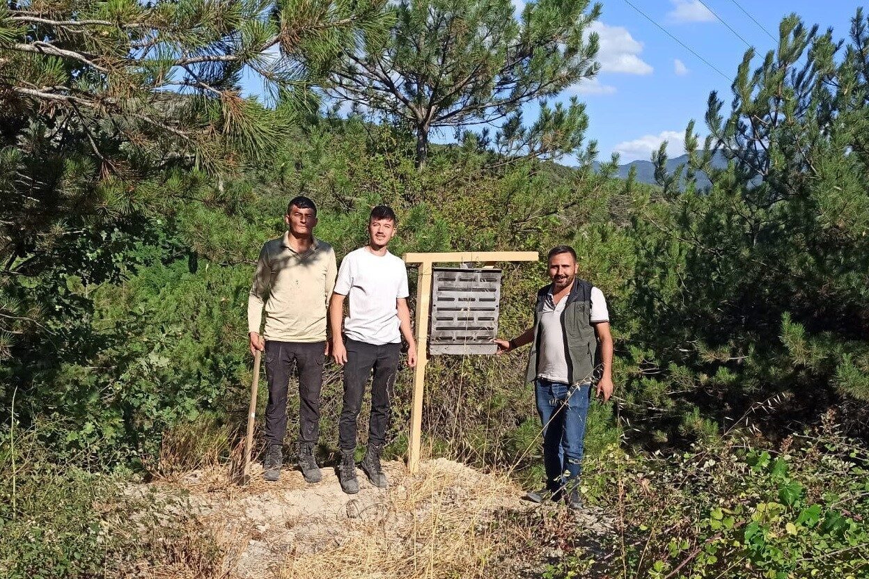 Bolu’nun Göynük ilçesinde geçtiğimiz yıl meydana gelen büyük orman yangınının