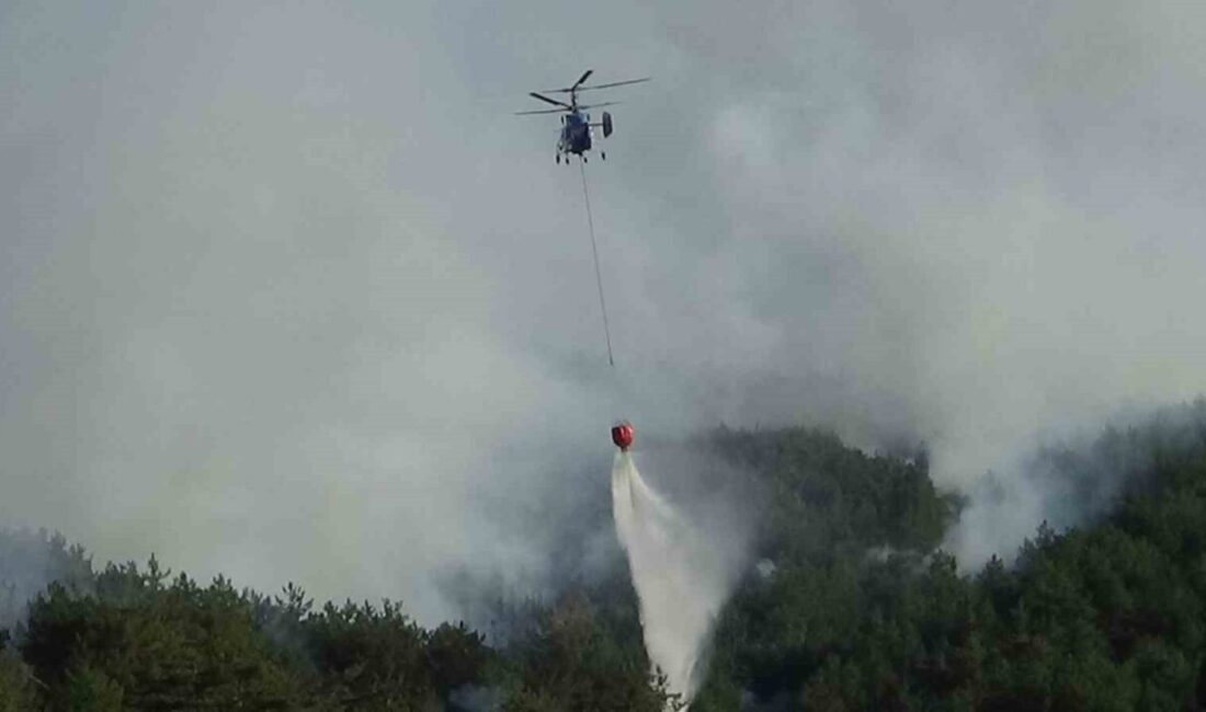 Bolu’nun Mudurnu ilçesinde biçerdöverden sıçrayan kıvılcımlar nedeniyle çıktığı belirlenen orman