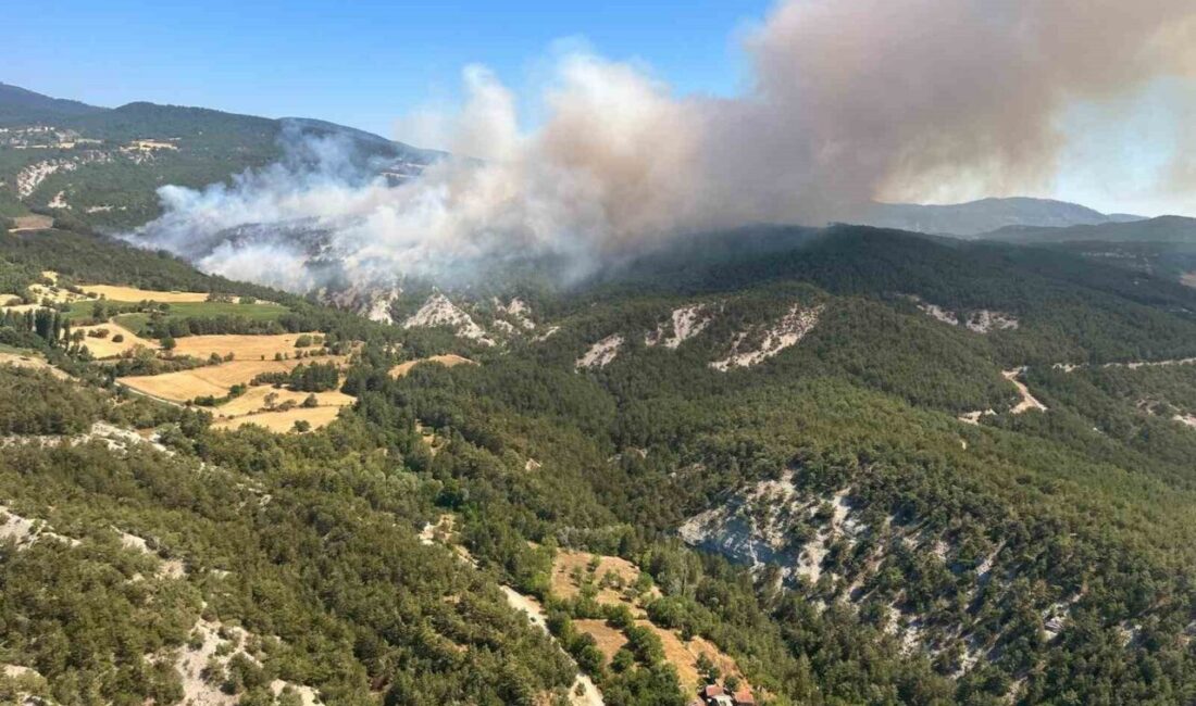 Bolu’da arazide çıkarak ormana sıçrayan yangına, çok sayıda araçla havadan