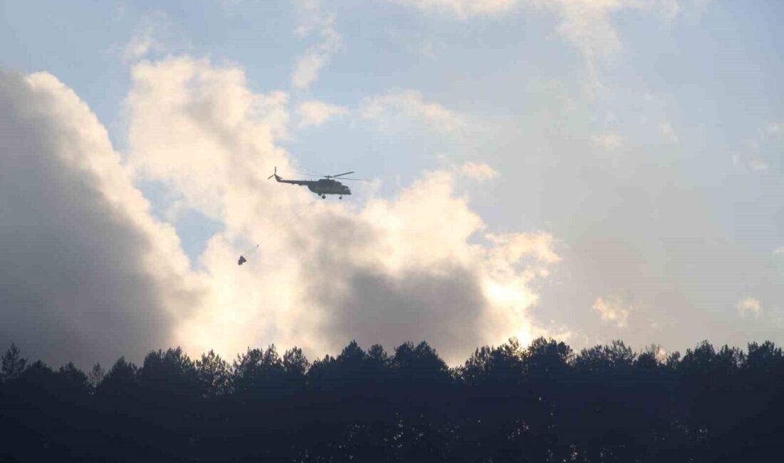 Bolu’nun Mengen ilçesinde çıkan orman yangını 5’inci saatine girerken, Bolu