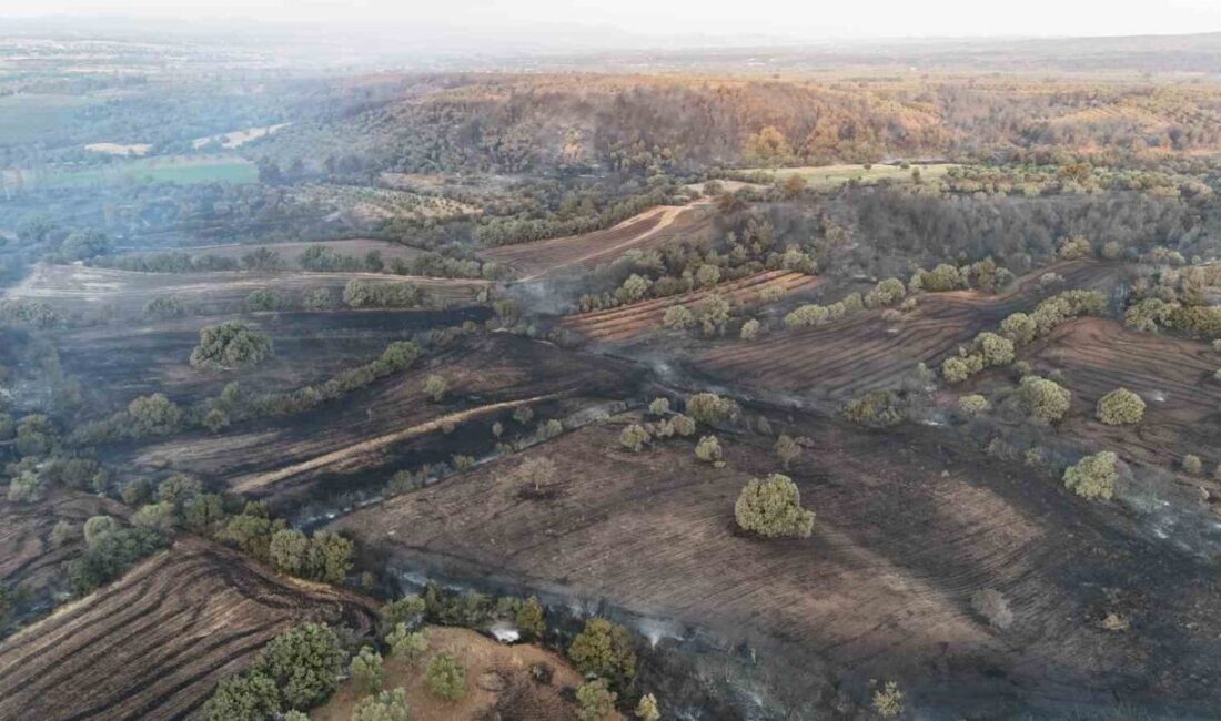 Çanakkale’nin Bayramiç ilçesinde çıkan orman yangınında, boşaltıldıktan sonra alevlere teslim