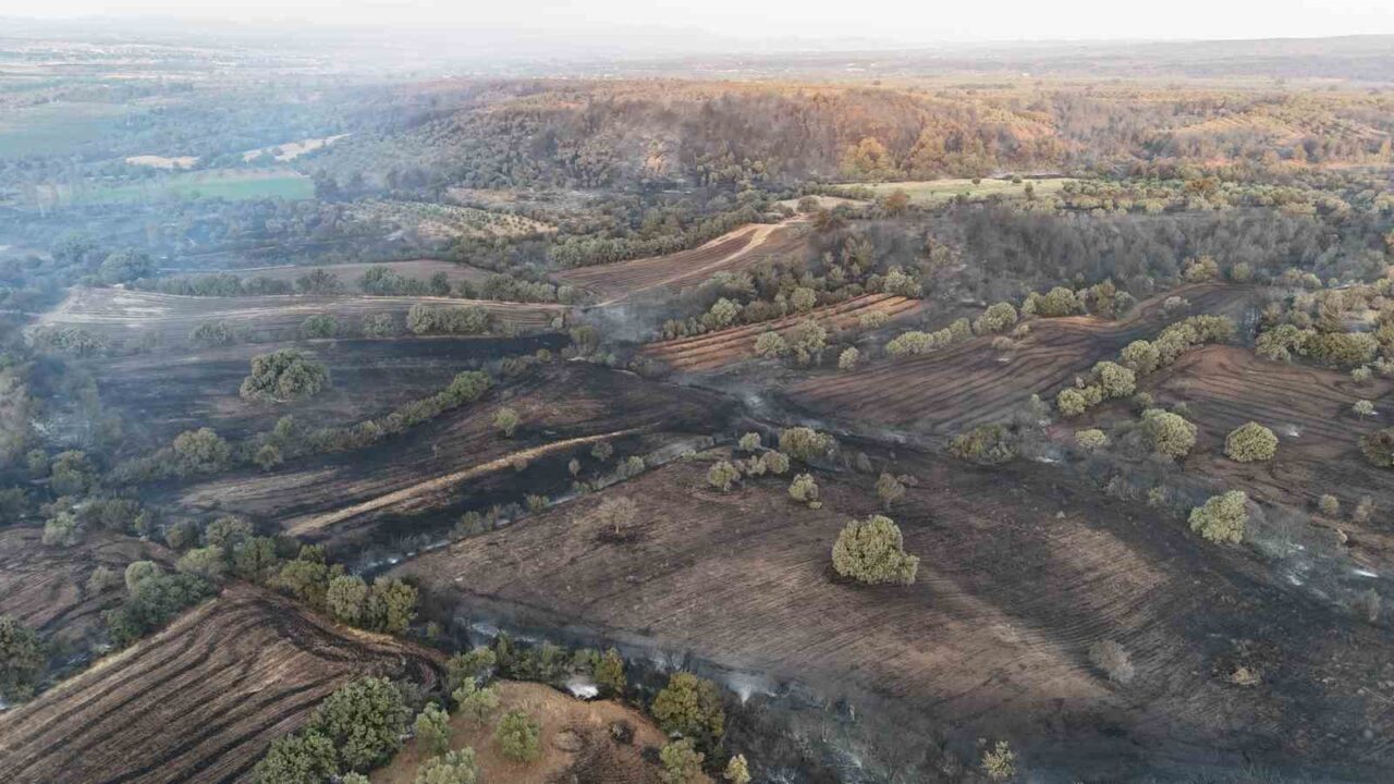 Çanakkale’nin Bayramiç ilçesinde çıkan orman yangınında, boşaltıldıktan sonra alevlere teslim