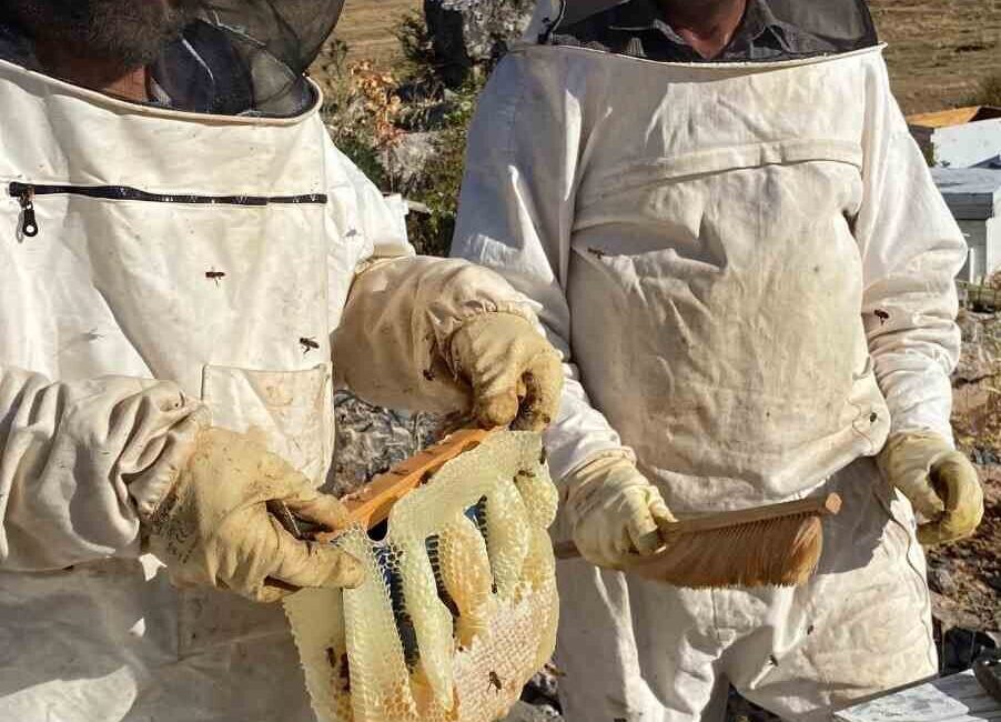 Konya’nın Bozkır ilçesinde bal hasadının sonuna gelindi. 1900 rakımlı Baybağan