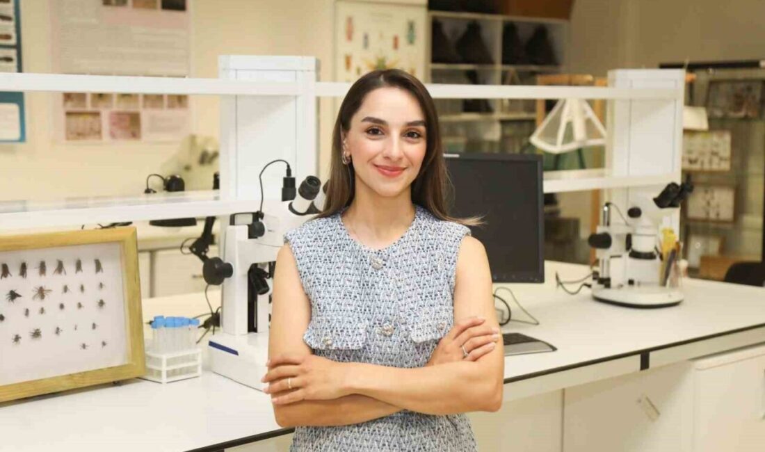 Bursa Teknik Üniversitesi akademisyenleri, Karacabey ormanlarındaki Chalcidoidea üst familyasına ait