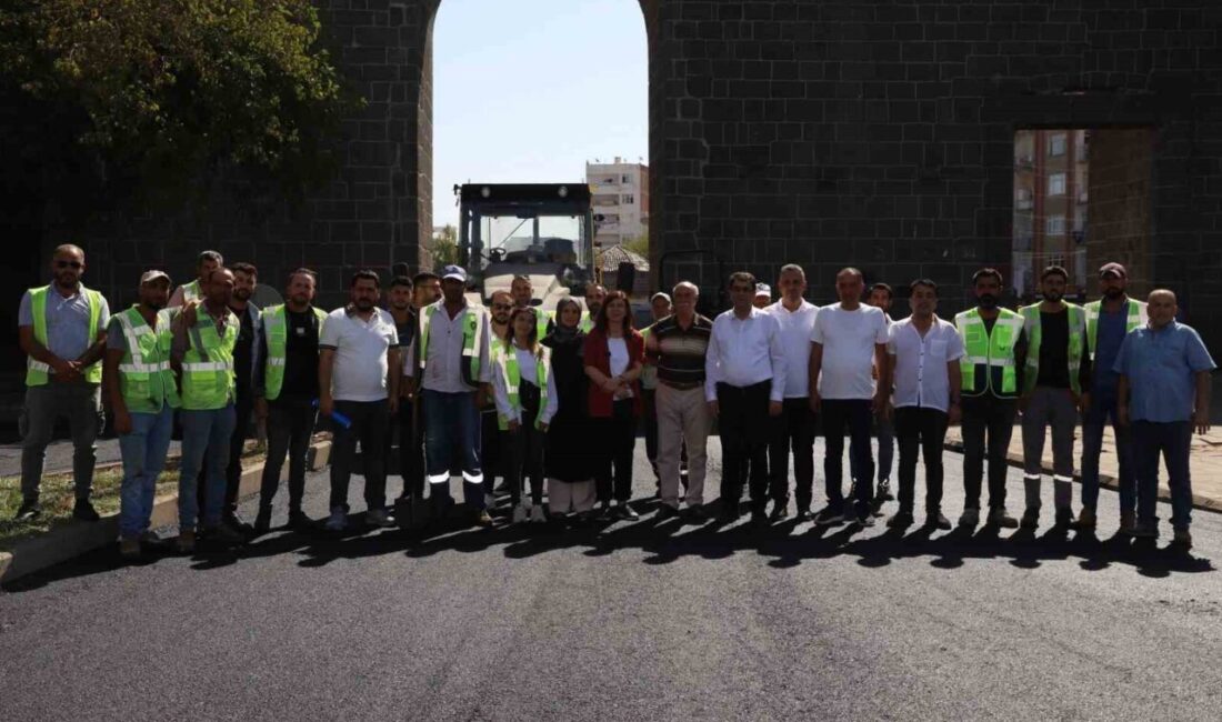 Diyarbakır Büyükşehir Belediyesi Başkanı Serra Bucak, Yenişehir ilçesinde yürütülen asfalt