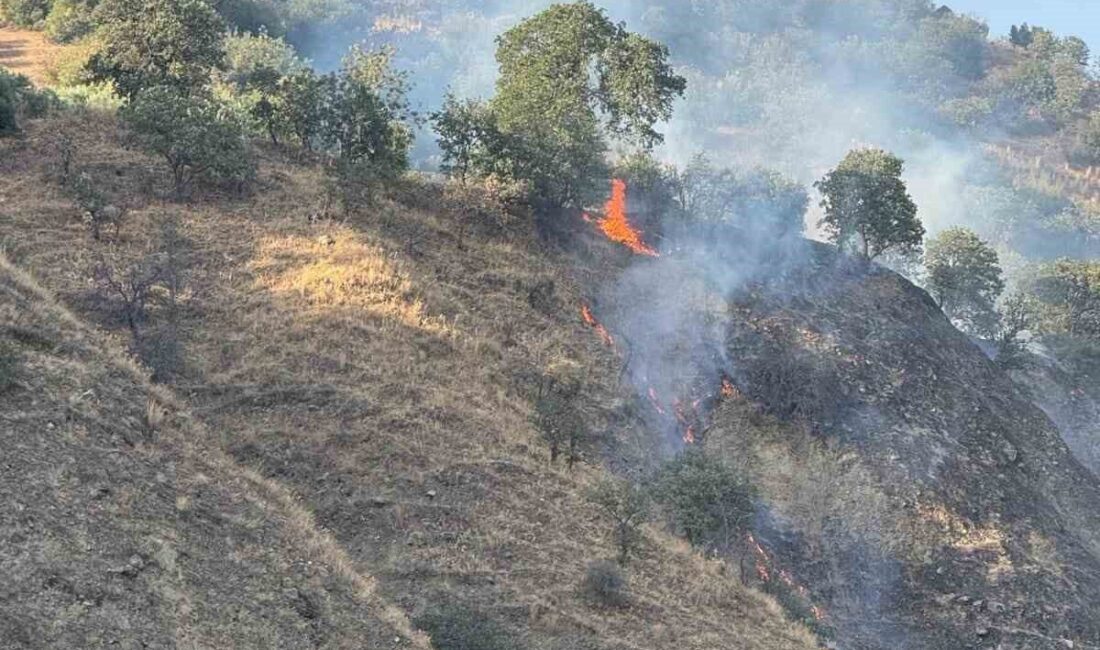 Aydın’ın Buharkent Mahallesi’nde çıkan orman yangını ekiplerin hızlı müdahalesi ile