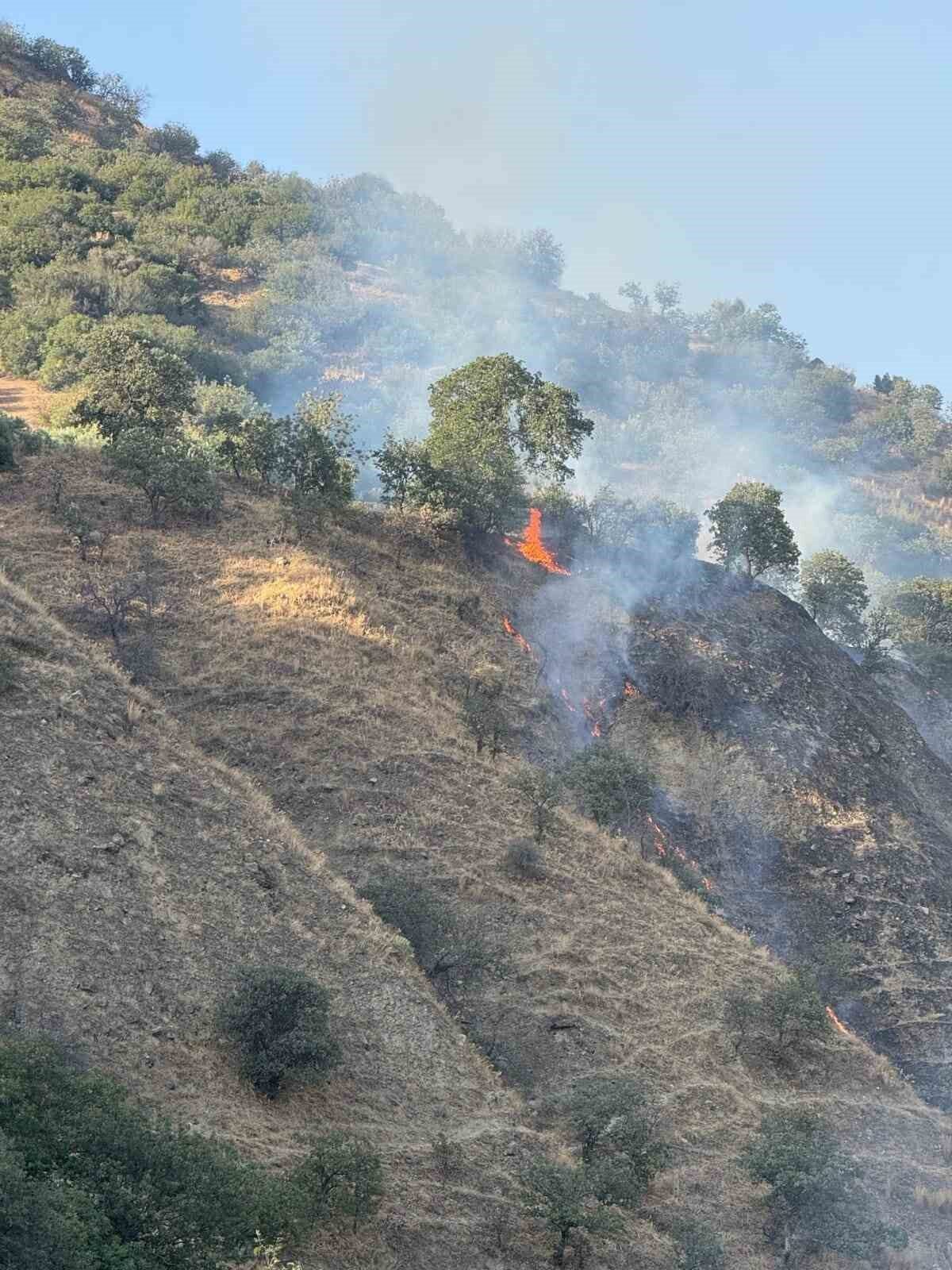 Aydın’ın Buharkent Mahallesi’nde çıkan orman yangını ekiplerin hızlı müdahalesi ile