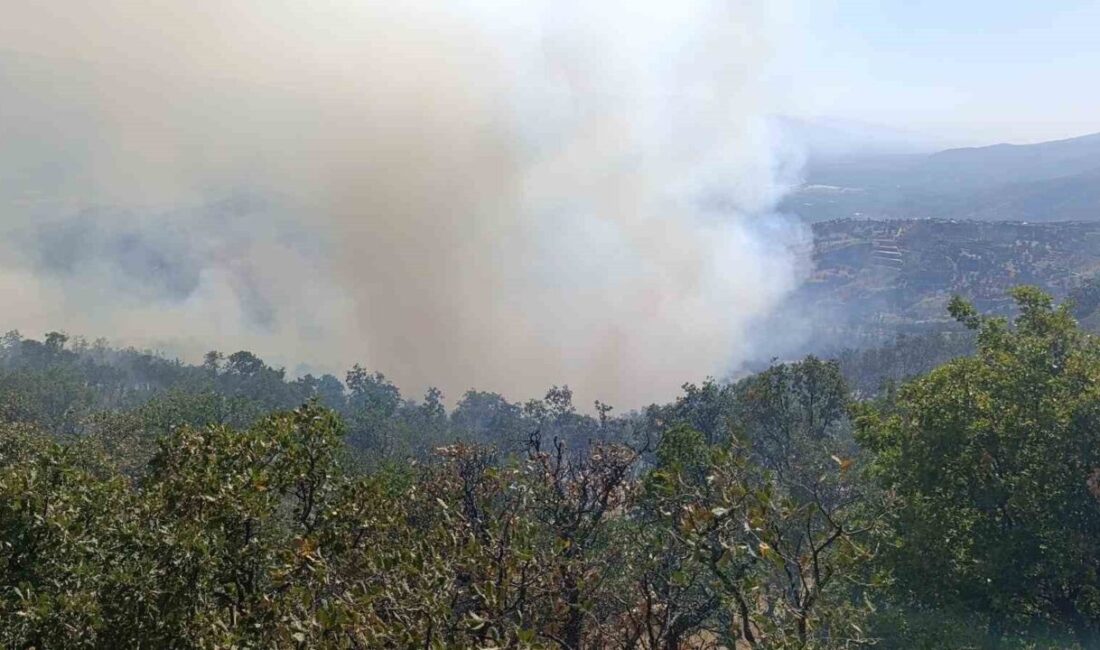 Denizli’nin Buldan ilçesinde başlayan orman yangını 3 gündür devam ediyor.