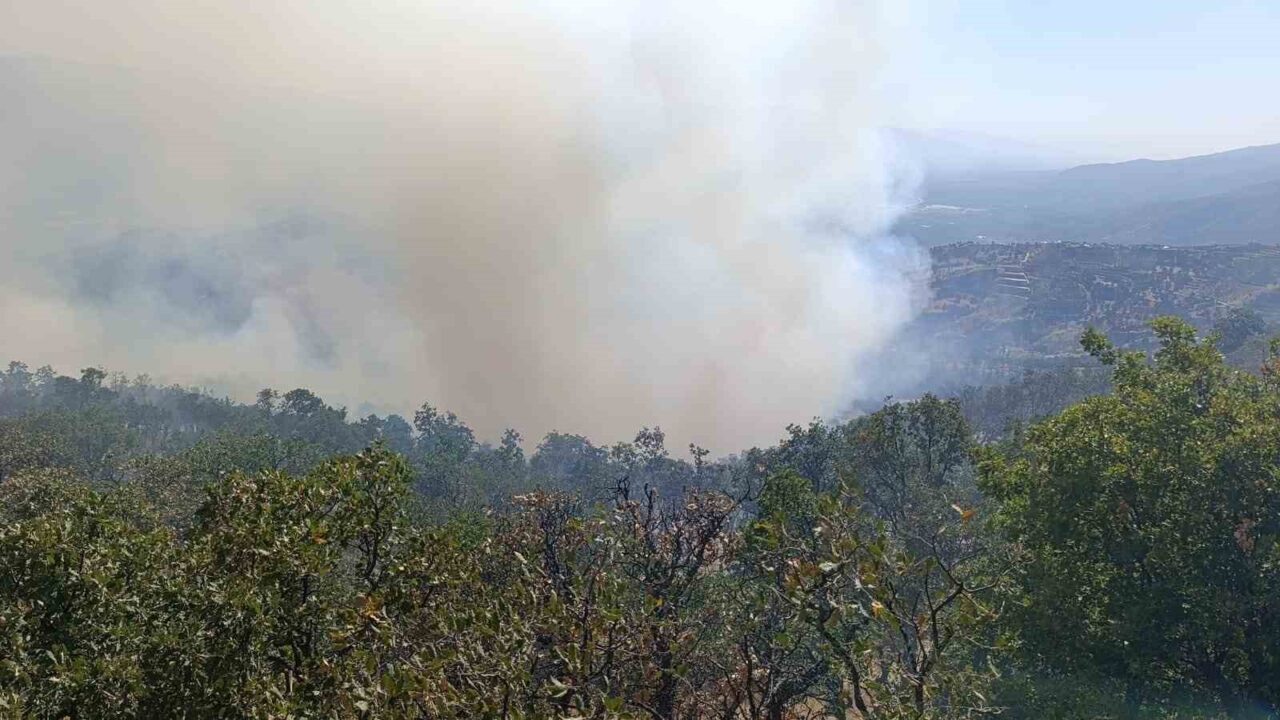 Denizli’nin Buldan ilçesinde başlayan orman yangını 3 gündür devam ediyor.