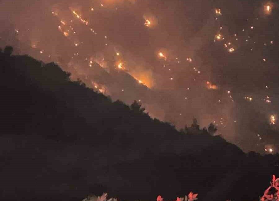 Denizli’nin Buldan ilçesinde öğle saatlerinde başlayan yangın Aydın’ın Buharkent ilçesine
