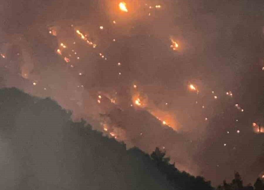 Denizli’nin Buldan ilçesinde ormanlık alanda başlayan yangın dün akşam Aydın’ın