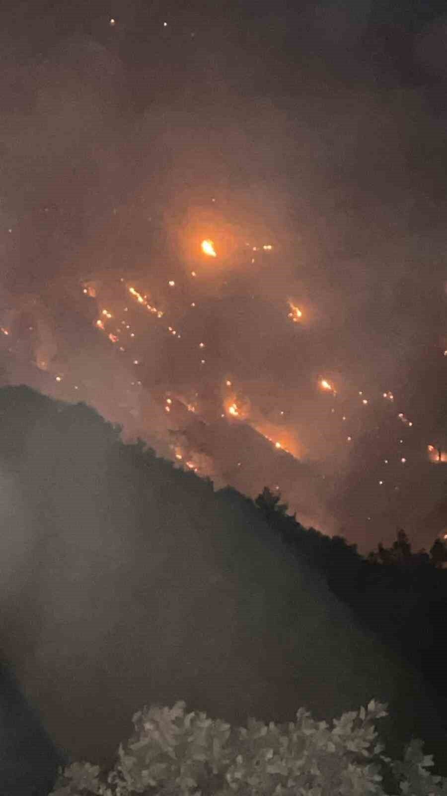 Denizli’nin Buldan ilçesinde ormanlık alanda başlayan yangın dün akşam Aydın’ın