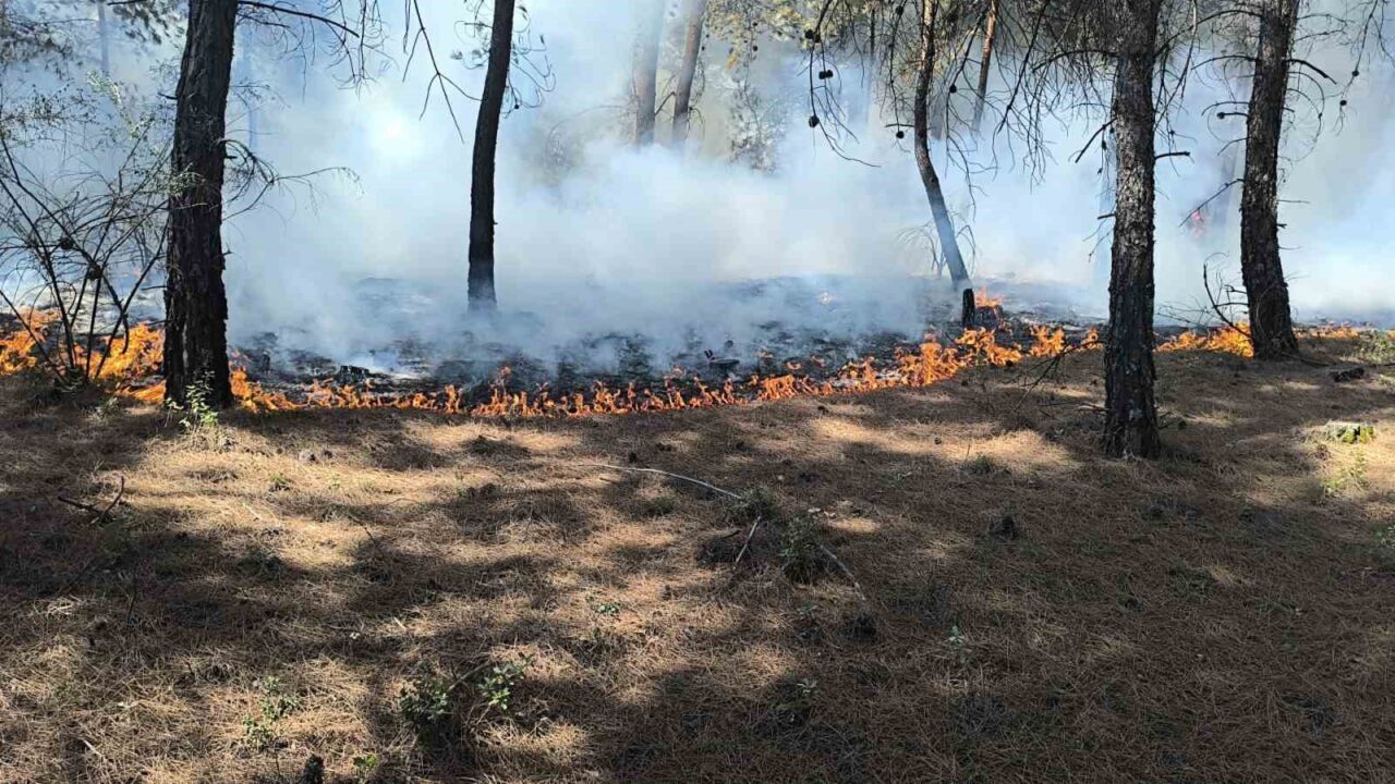 Denizli’nin Buldan ilçesinde çıkan orman yangını ekiplerin kısa sürede müdahalelerin