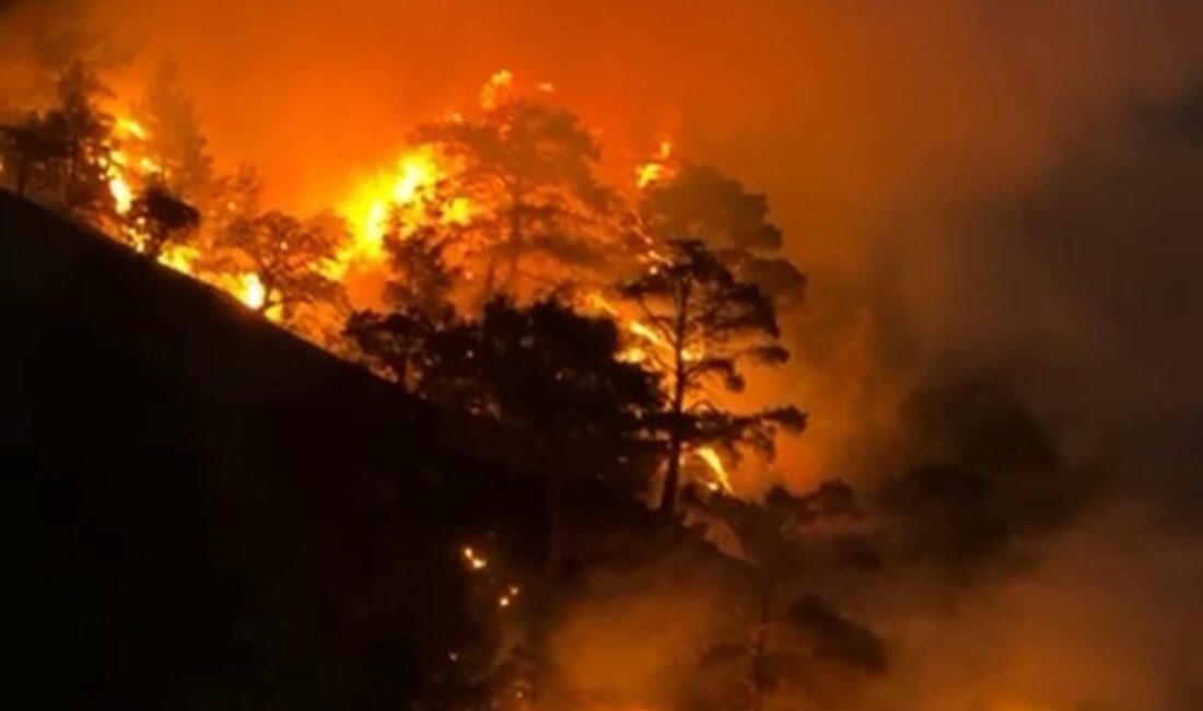 Denizli’nin Buldan ilçesinde akşam saatlerinde yangın meydana geldi. Orman Müdürlüğü