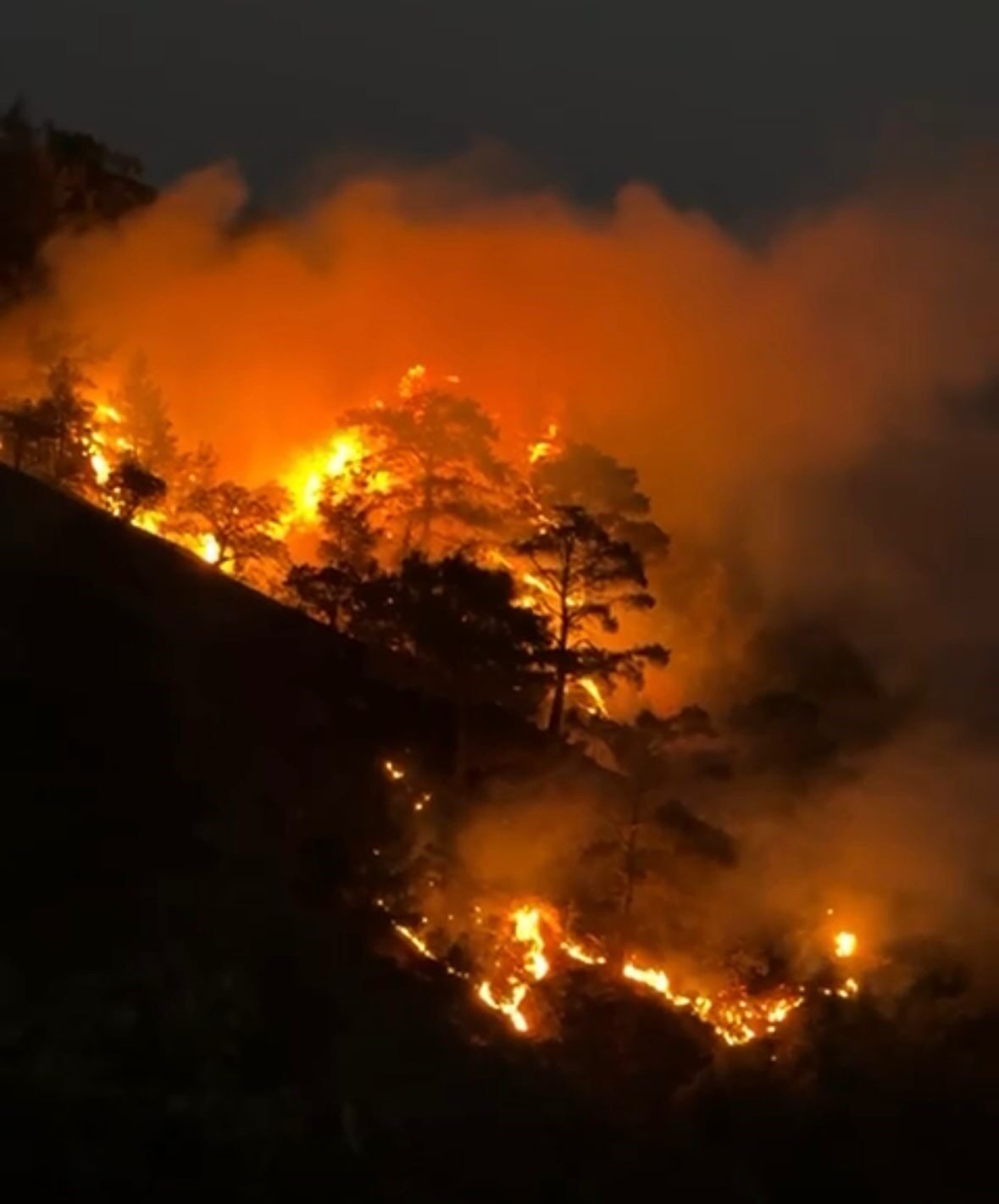 Denizli’nin Buldan ilçesinde akşam saatlerinde yangın meydana geldi. Orman Müdürlüğü