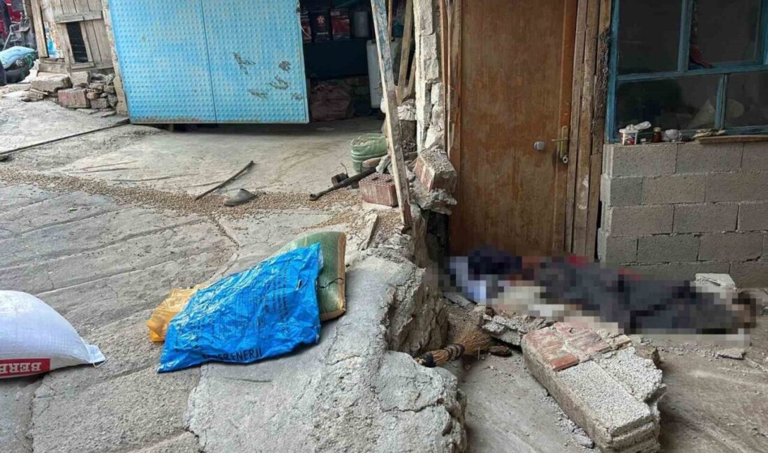 Burdur’un Yeşilova ilçesinde traktörden yem indirildiği esnada freni boşalan traktörün