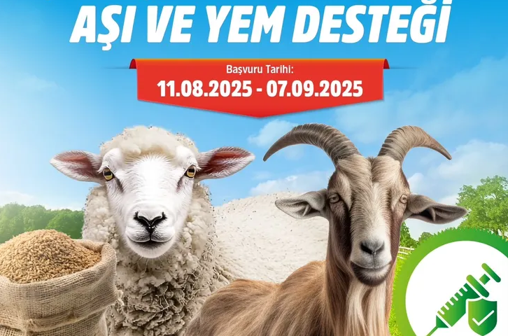 Bursa Büyükşehir Belediyesinin küçükbaş hayvan üreticilerine yönelik için aşı ve