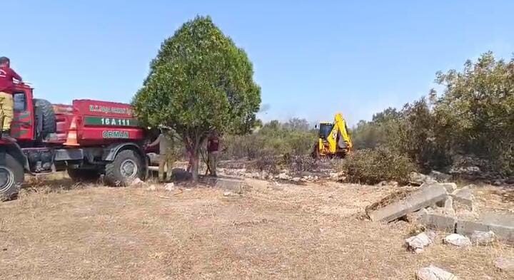 Bursa’nın Nilüfer ilçesi Başköy mevkiinde çıkan orman yangını kontrol altına