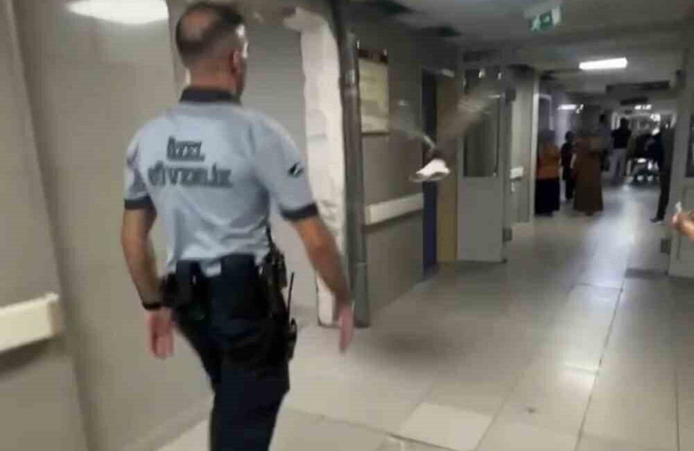 Bursa’da bu kez “kanatlı” bir hasta acile başvurdu. Acil servisin