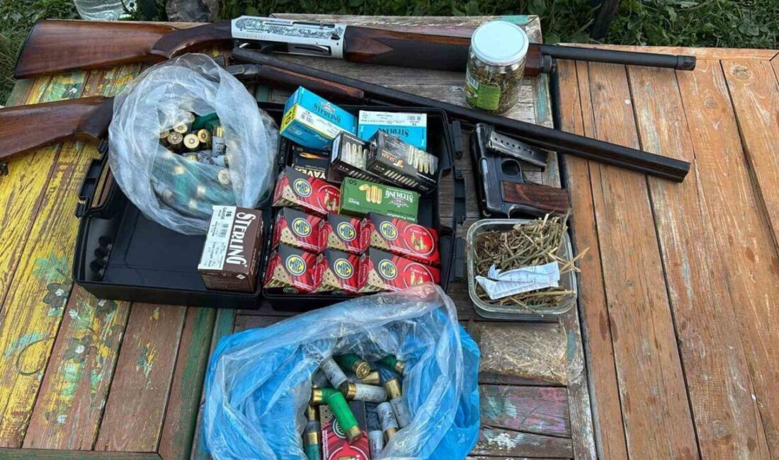 Bursa’nın İznik ilçesinde uyuşturucu ile mücadele kapsamında düzenlenen operasyonda kenevir