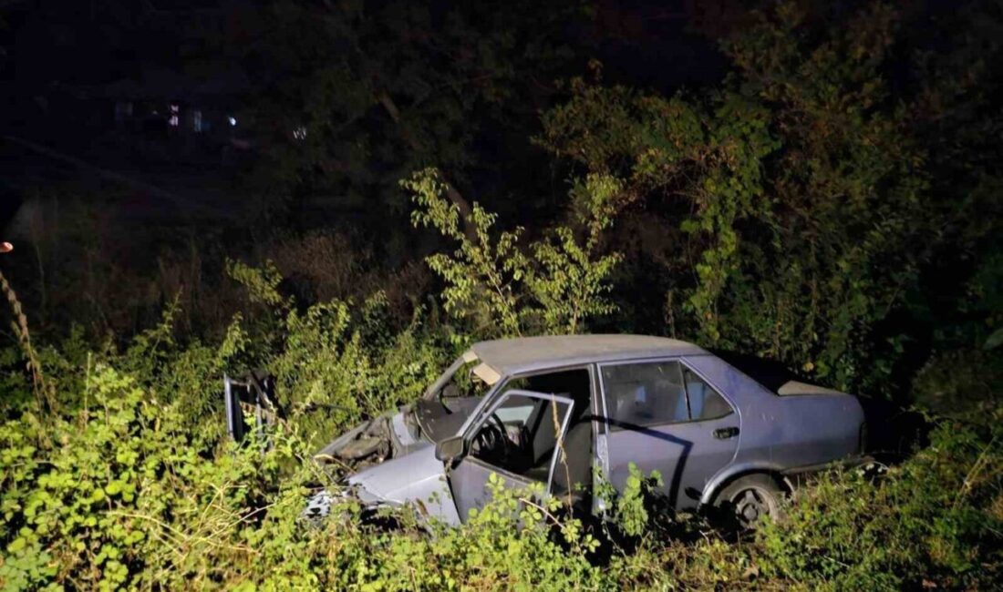 Bursa’nın İnegöl ilçesinde kontrolden çıkan otomobil şarampole uçtu. Kazada 2