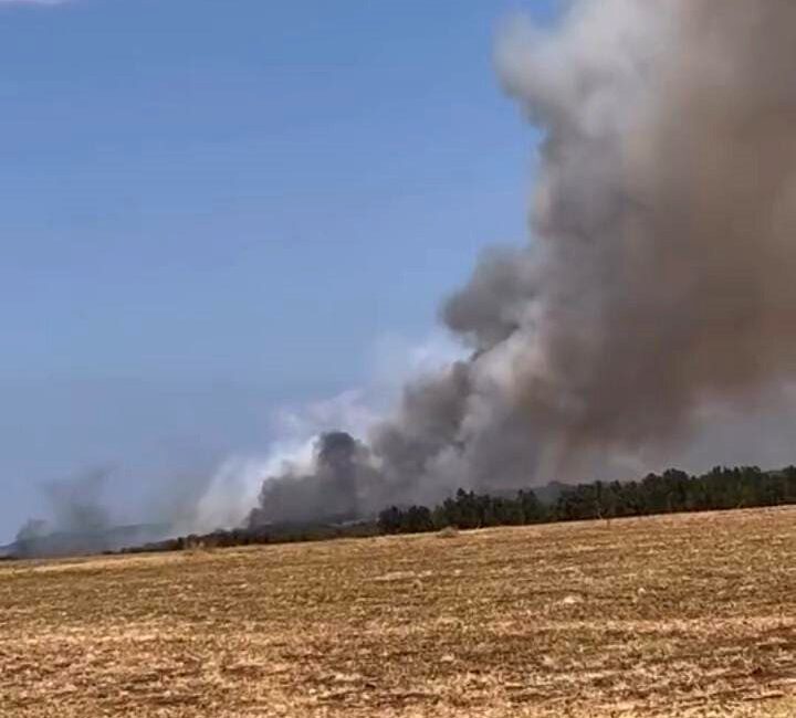 Bursa’nın Nilüfer ilçesi Başköy mevkiinde orman yangını çıktı. Kısa sürede