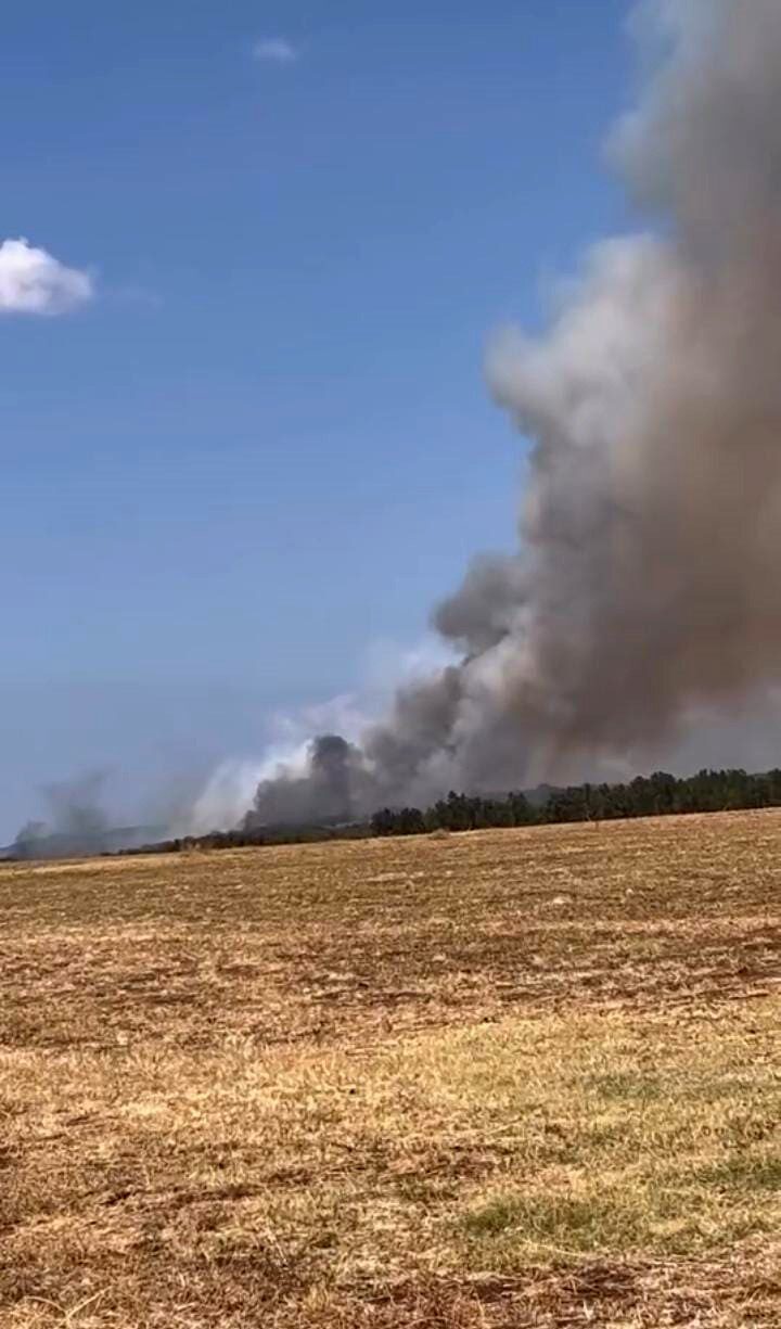 Bursa’nın Nilüfer ilçesi Başköy mevkiinde orman yangını çıktı. Kısa sürede