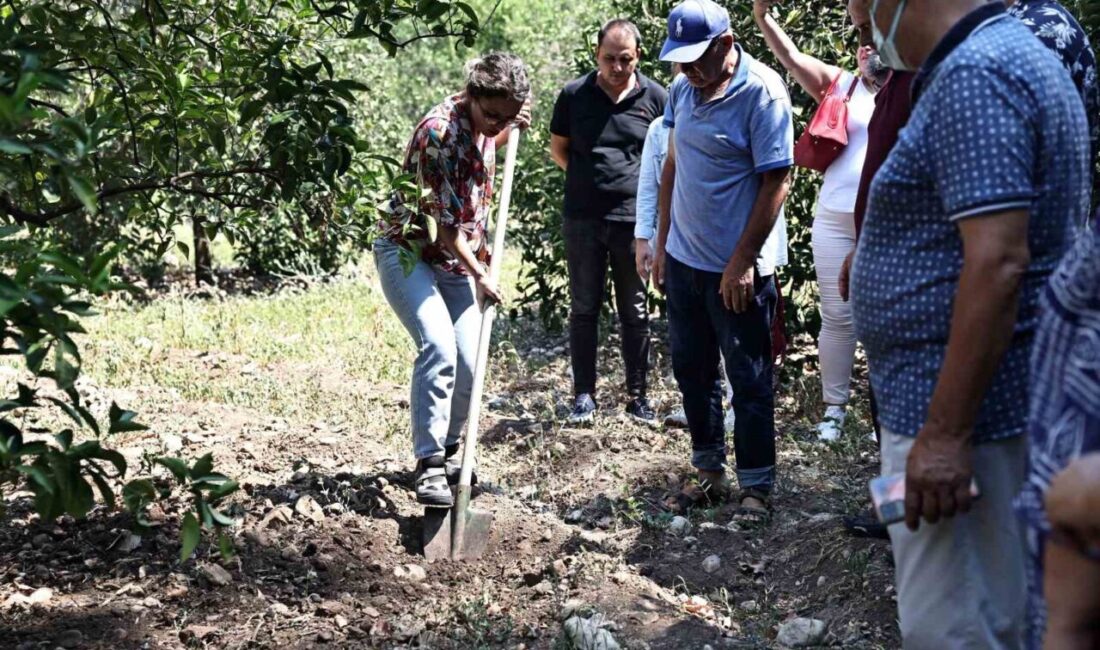 Büyükşehir Belediyesi, düzenleyeceği eğitim programları ile hem üreticilerin bilgi birikimi