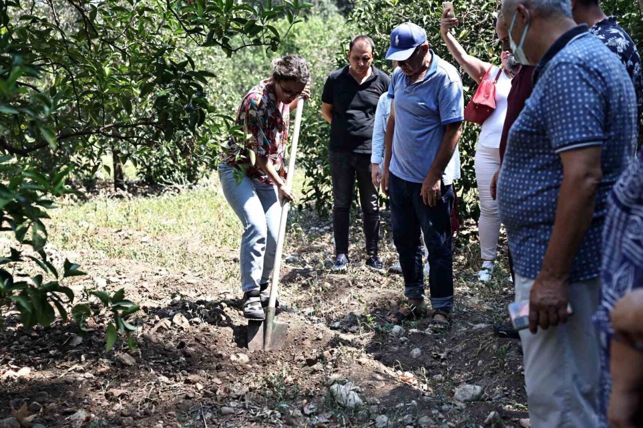 Büyükşehir Belediyesi, düzenleyeceği eğitim programları ile hem üreticilerin bilgi birikimi