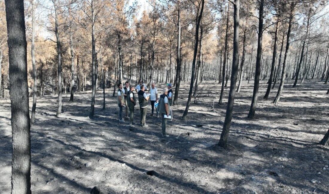 Çanakkale’de yaşanan yangınlardan sonra Orman Bölge Müdürü Enver Demirci başkanlığında