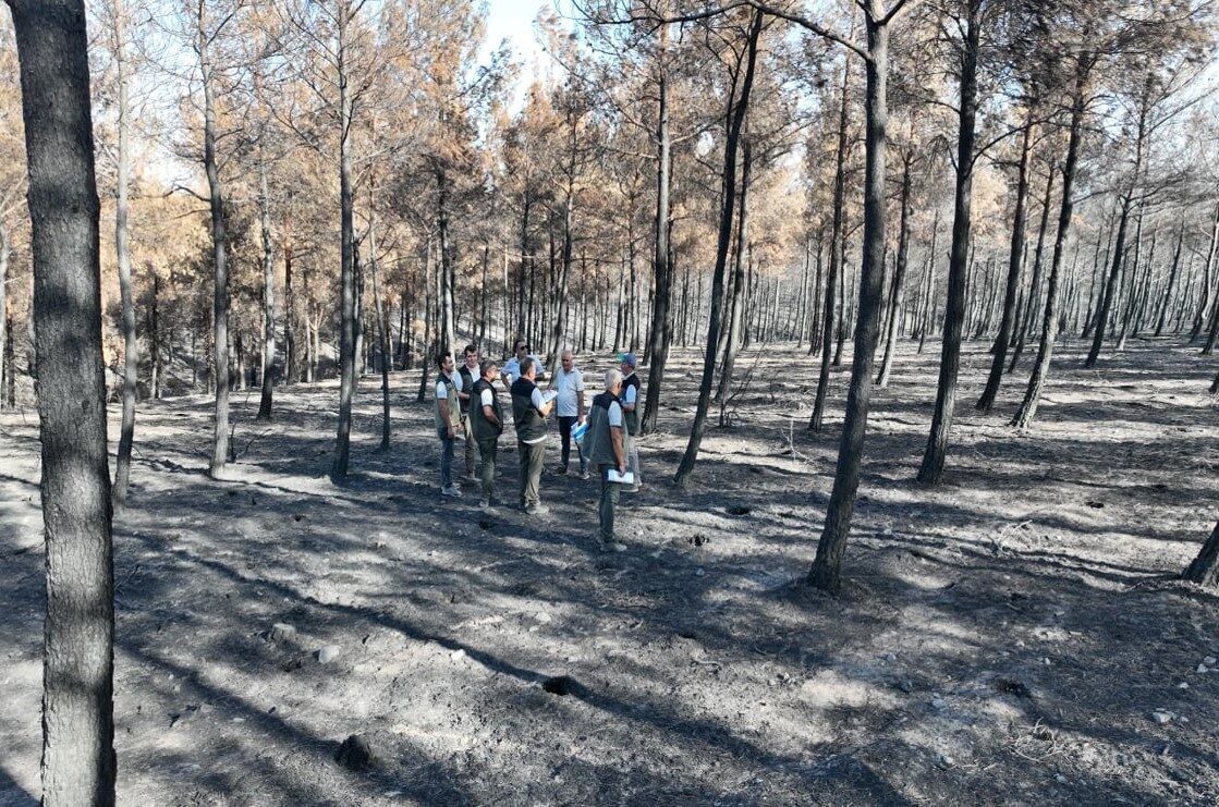 Çanakkale’de yaşanan yangınlardan sonra Orman Bölge Müdürü Enver Demirci başkanlığında
