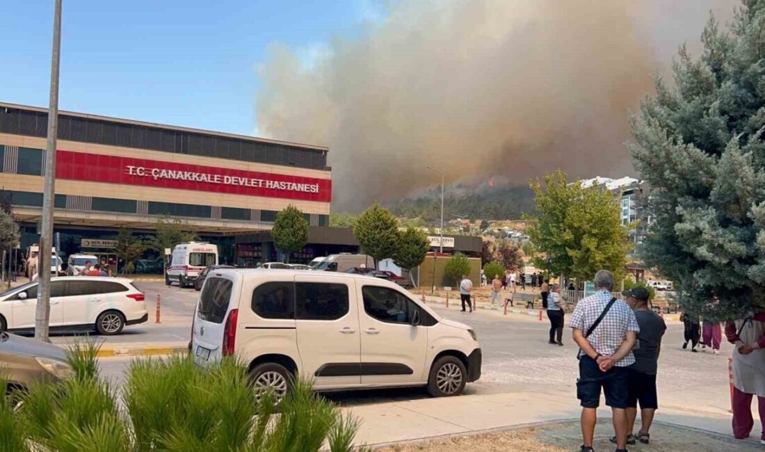 Çanakkale’de çıkan orman yangınını kontrol altına almak için Orman Bölge