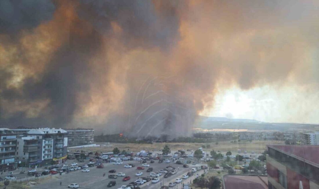 Çanakkale’de çıkan orman yangınını kontrol altına almak için Orman Bölge