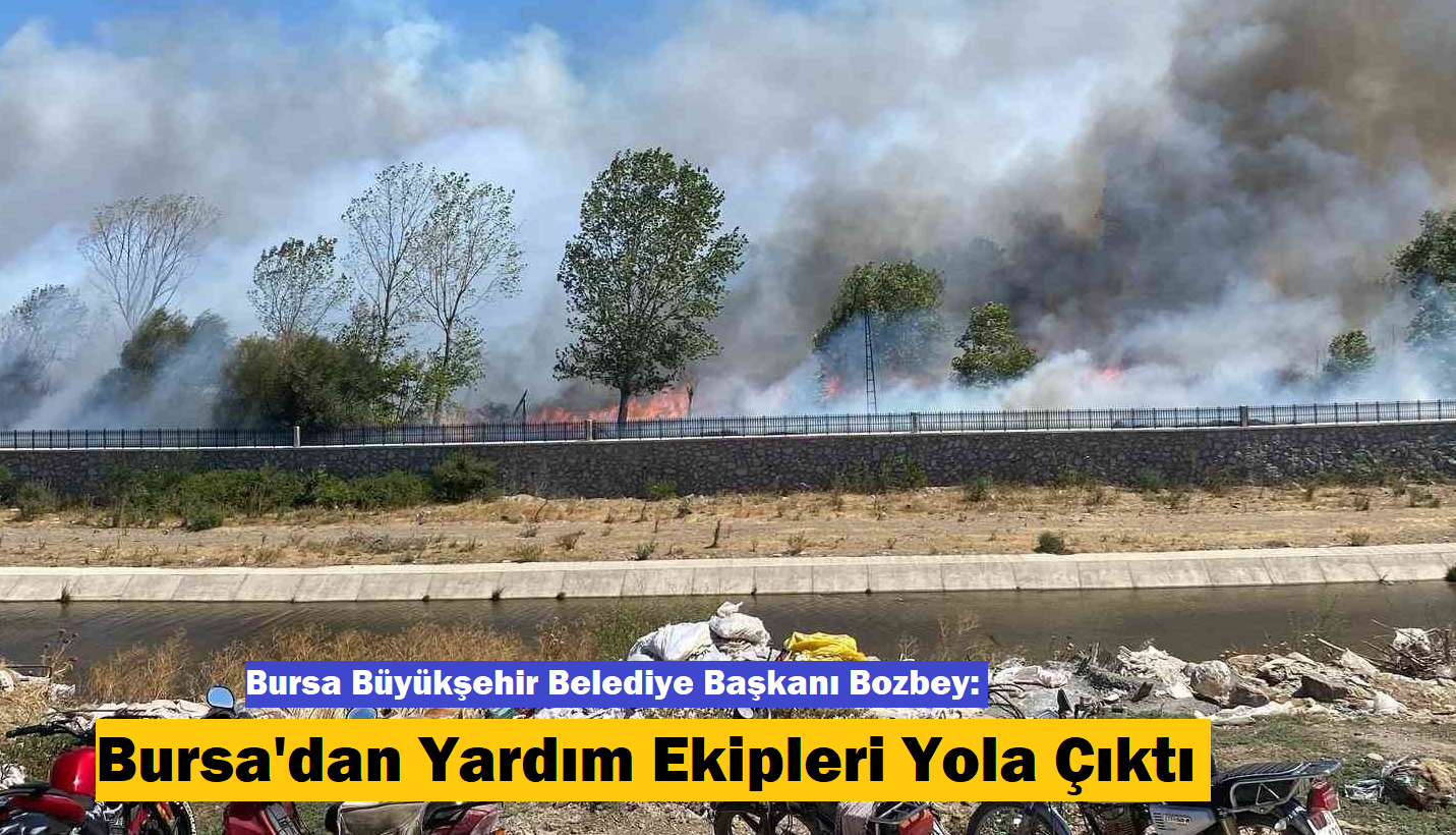 Çanakkale’nin Ayvacık ilçesinde çöplük alanda başlayan yangın ormanlık alana sıçradı.