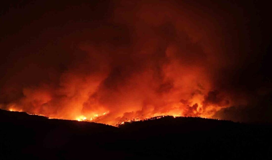 Çanakkale’nin Gelibolu ilçesinde çıkan orman yangınına Orman Bölge Müdürlüğü ekipleri