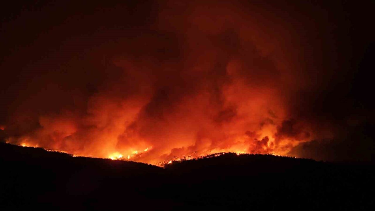 Çanakkale’nin Gelibolu ilçesinde çıkan orman yangınına Orman Bölge Müdürlüğü ekipleri