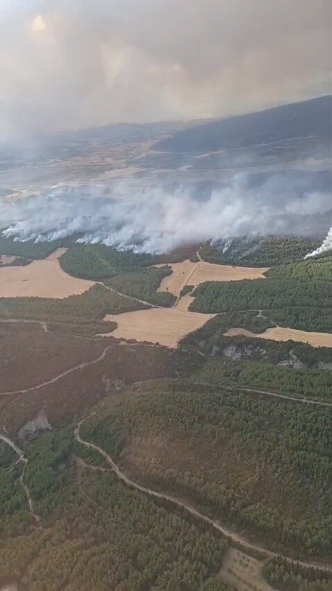 Çanakkale’nin Gelibolu ilçesinde çıkan orman yangınına Orman Bölge Müdürlüğü ekipleri