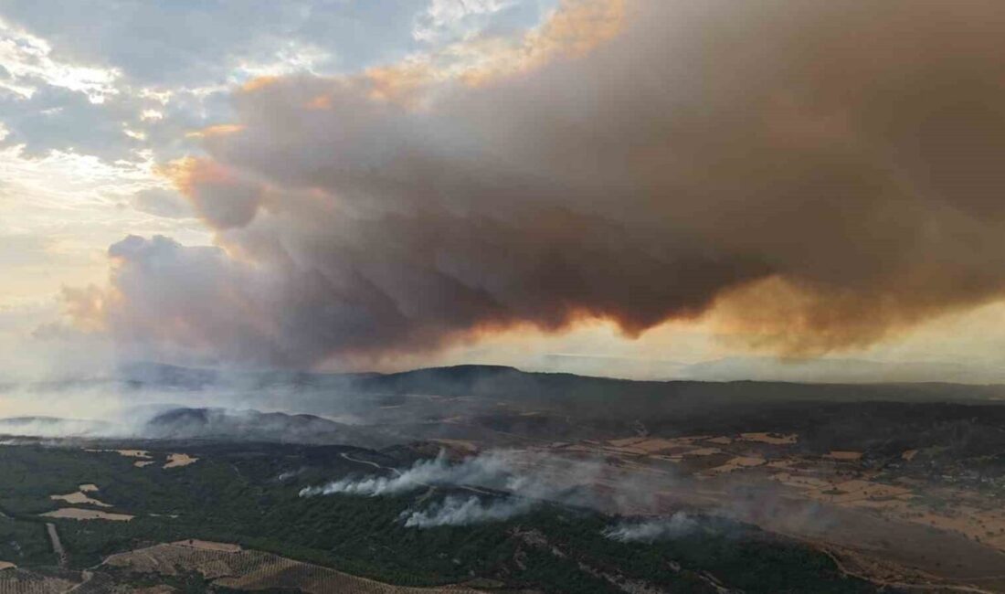 Çanakkale’nin Gelibolu ilçesinde çıkan orman yangınına Orman Bölge Müdürlüğü ekipleri